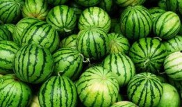 宜春網(wǎng)紅吃瓜事件真相,揭秘背后真相與網(wǎng)絡(luò)輿論的反思