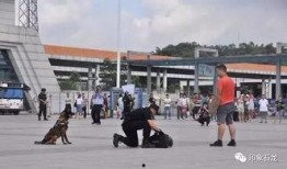 東莞火車站爆料事件最新,真相與爭議交織的輿情風(fēng)暴