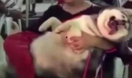 網紅爆料小孩視頻播放大全,熱門小孩視頻大盤點