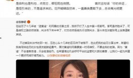 吳越爆料海清完整視頻,吳越爆料背后的真相與情感糾葛