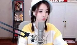 爆料王琳?qǐng)F(tuán)隊(duì)直播回放視頻,精彩瞬間回顧