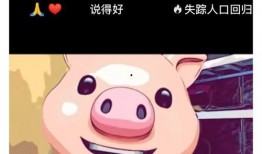 豬頭博主爆料是誰啊視頻,“是誰啊”視頻背后的驚人真相