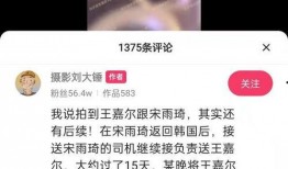 劉大錘爆料真假視頻,真假視頻揭秘，真相究竟如何？