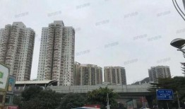 深圳布吉最新爆料,揭秘社區(qū)新動(dòng)態(tài)與民生焦點(diǎn)