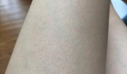 吃雞皮膚最新返廠爆料,揭秘神秘爆料，帶你領(lǐng)略時尚潮流！