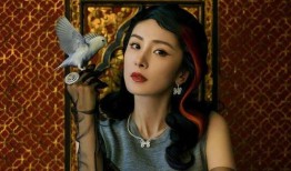 娛樂大爆料胡歌楊冪,娛樂大爆料背后的精彩瞬間