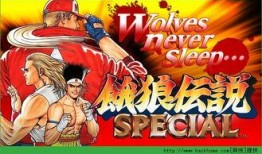 餓狼傳說 在線觀看,熱血激戰，勇者無畏的冒險之旅