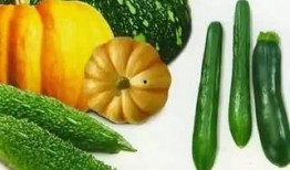 免費(fèi)在線觀看吃瓜,揭秘?zé)衢T事件幕后真相