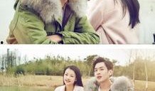 十五年等待候鳥在線觀看免費