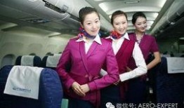 菲律賓空姐最新爆料新聞,揭秘航空業不為人知的秘密