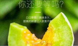 網紅吃瓜打包圖片大全,盤點那些搞笑又真實的打包圖片大全