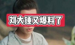 劉大錘爆料真假視頻,真假視頻揭秘，真相究竟如何？