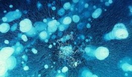 氣泡 在線觀看,揭秘神秘世界的在線奇觀