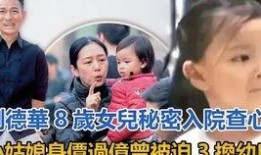 晨媽最新消息爆料,揭秘娛樂圈最新動態