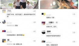 俊辰少爺語音爆料視頻,揭秘幕后故事