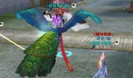 孔雀坐騎新爆料視頻大全,視頻大全揭秘神秘坐騎風采