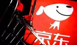 京東教練爆料視頻,揭秘健身器材背后的秘密與技巧