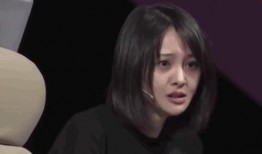 鄭爽最新消息爆料視頻在線觀看,揭秘背后驚人真相