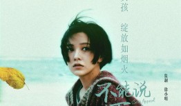 不能說的夏天 在線觀看,探尋不能說的夏天在線觀看之旅