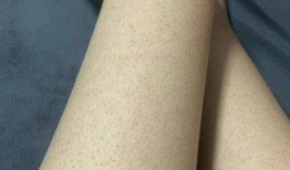 吃雞皮膚最新返廠爆料,揭秘神秘爆料，帶你領(lǐng)略時尚潮流！