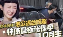 晨媽最新消息爆料,揭秘娛樂圈最新動態