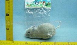 汕頭老鼠爆料最新消息