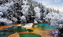 成都九寨溝最新爆料