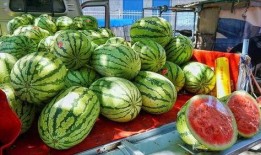 宜春網(wǎng)紅吃瓜事件真相,揭秘背后真相與網(wǎng)絡(luò)輿論的反思