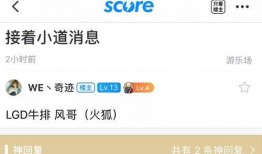 圈內爆料lgd,揭秘戰隊背后的故事與挑戰