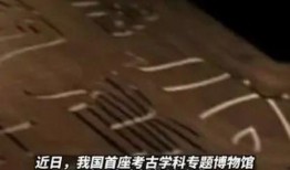 最新社會百態爆料新聞報道,最新爆料揭示現實眾生相