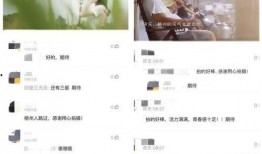 俊辰少爺語音爆料視頻,揭秘幕后故事