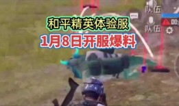 體驗服最新爆料和平精英,和平精英全新內容搶先看！