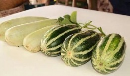 網紅吃瓜打包圖片大全,盤點那些搞笑又真實的打包圖片大全