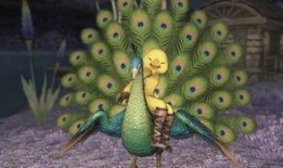 孔雀坐騎新爆料視頻大全,視頻大全揭秘神秘坐騎風采
